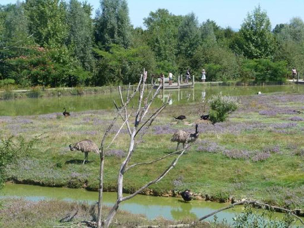 101PARC AUX OISEAUX DANS L AIN 2016 3_000008.jpg